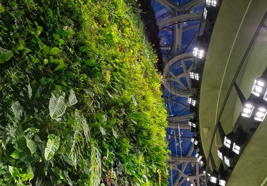 Biophilic Architecture-